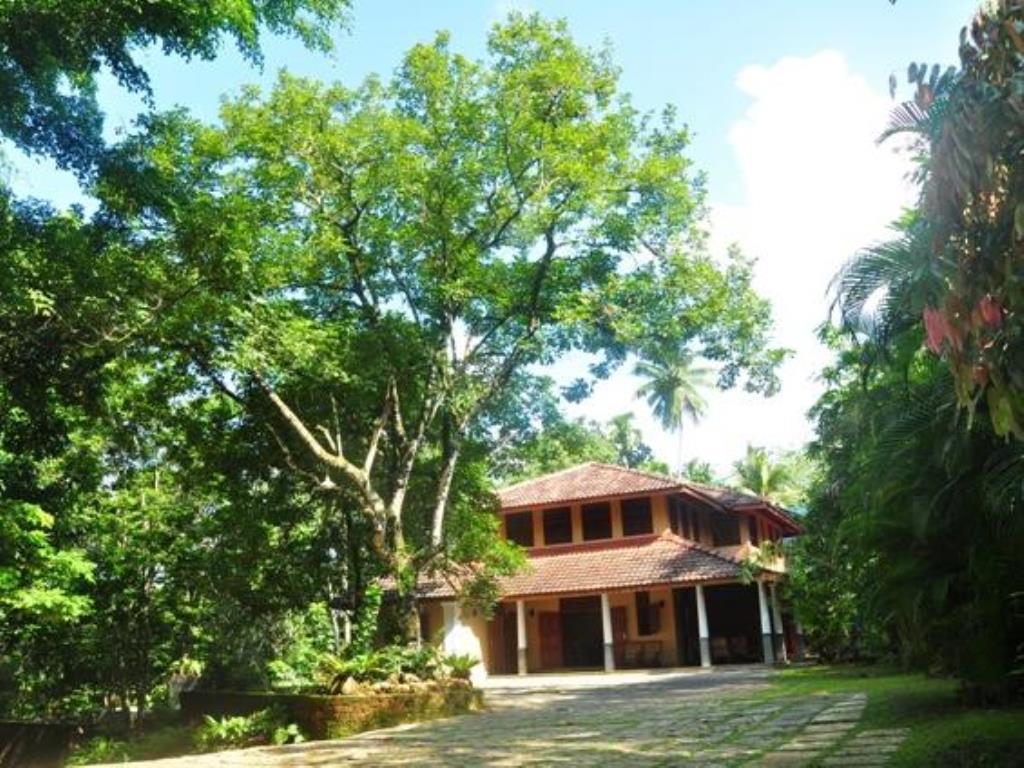 Nature Lovers Resort Ingiriya Εξωτερικό φωτογραφία
